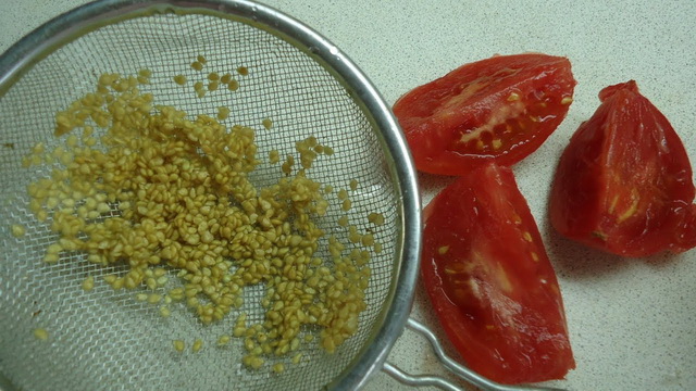 Как правильно собрать и переработать семена томатов.